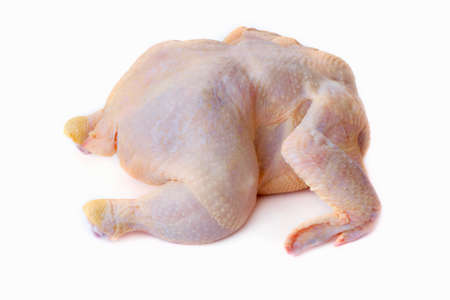 Raw chicken in front of white backgroundの写真素材
