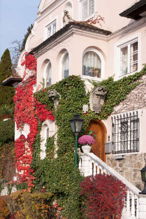 Old house with climbing plants in autumnのeditorial素材