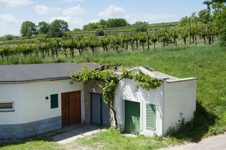 Old wine cellar with wine garden in the background