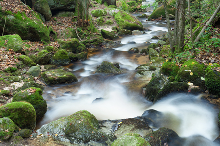 Whitewater Ysperklamm in autumnの写真素材