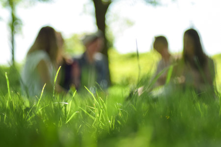 Five people sitting relaxed in a meadow and talkingの写真素材