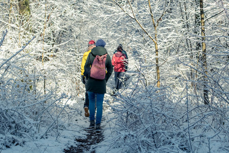 Colorfully dressed people walk through the beautiful winter landscape of a forestの写真素材