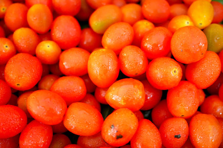 Close up of Cherry Tomatoの写真素材