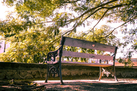 Lonely chair in the parkの写真素材