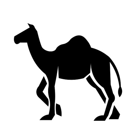 This vector image shows a standing dromedary in glyph icon design. It is isolated on a white background.のイラスト素材