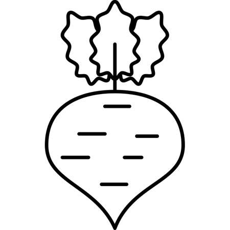 Radish Vegetable Icon Vector Outlineのイラスト素材