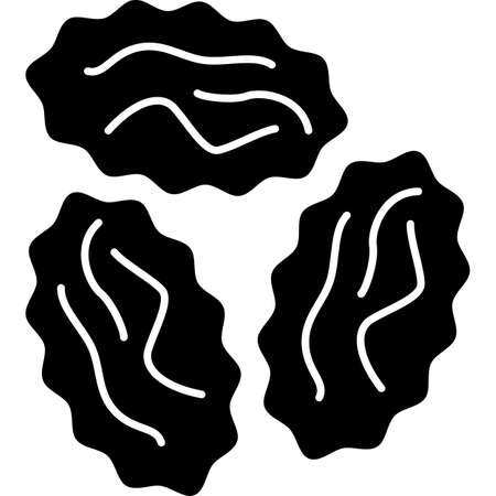 Raisin Glyph Icon Fruit Vectorのイラスト素材