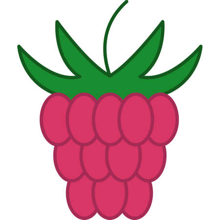 Raspberry Filled Outline Icon Fruit Vectorのイラスト素材
