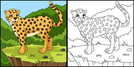 Cheetah Coloring Page Vector Illustrationのイラスト素材