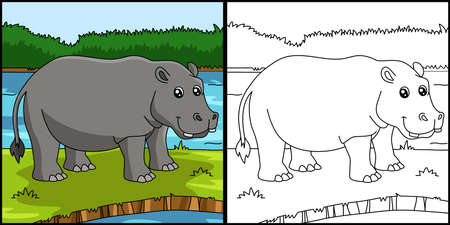 Hippo Coloring Page Colored Illustrationのイラスト素材