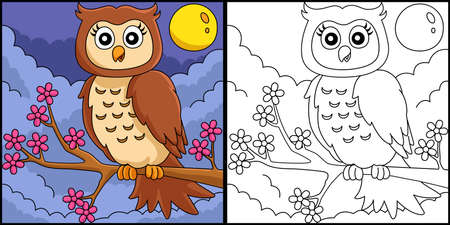 Owl On A Tree Branch Coloring Page Illustrationのイラスト素材