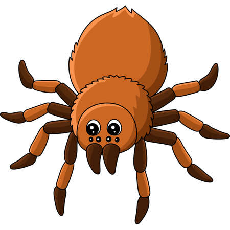 Tarantula Animal Cartoon Colored Clipartのイラスト素材