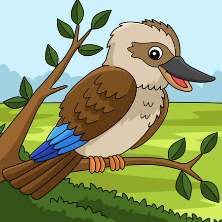Kookaburra Animal Colored Cartoon Illustrationのイラスト素材