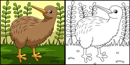 Kiwi Animal Coloring Page Colored Illustrationのイラスト素材