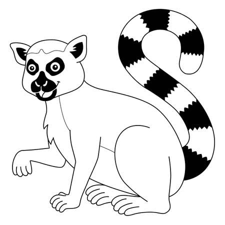 Katta Animal Coloring Page for Kidsのイラスト素材