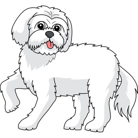 Maltese Dog Cartoon Colored Clipart Illustrationのイラスト素材