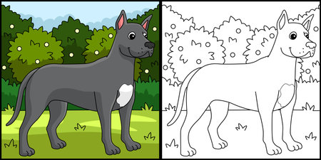 Great Dane Dog Coloring Page Colored Illustrationのイラスト素材
