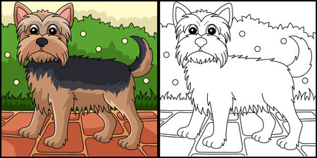 Yorkshire Terrier Dog Coloring Page Illustrationのイラスト素材