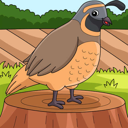 Quail Animal Colored Cartoon Illustrationのイラスト素材