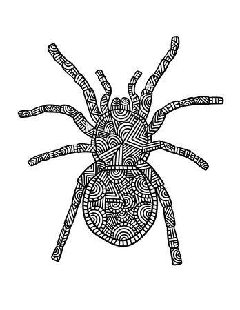 Tarantula Mandala Coloring Pages for Adultsのイラスト素材