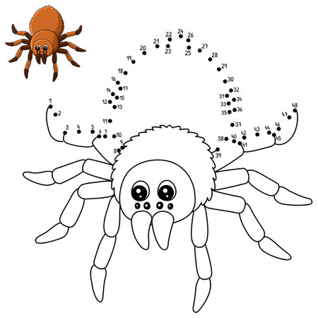 Dot to Dot Tarantula Animal Coloring Page for Kidsのイラスト素材
