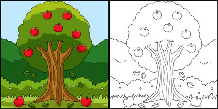 Apple Tree Coloring Page Colored Illustrationのイラスト素材