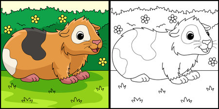 Guinea Pig Animal Coloring Page Illustrationのイラスト素材