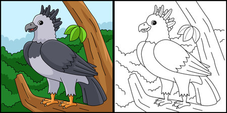 Harpy Eagle Animal Coloring Page Illustrationのイラスト素材
