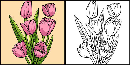 Tulip Flower Coloring Page Colored Illustrationのイラスト素材