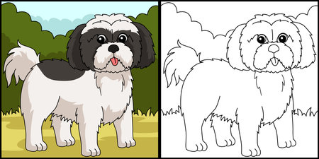 Shih Tzu Dog Coloring Page Colored Illustrationのイラスト素材