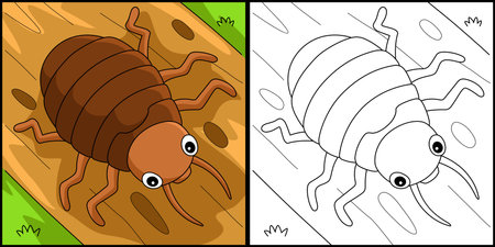 Bedbug Animal Coloring Page Colored Illustrationのイラスト素材
