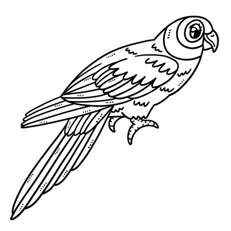 Mother Parrot Isolated Coloring Page for Kidsのイラスト素材