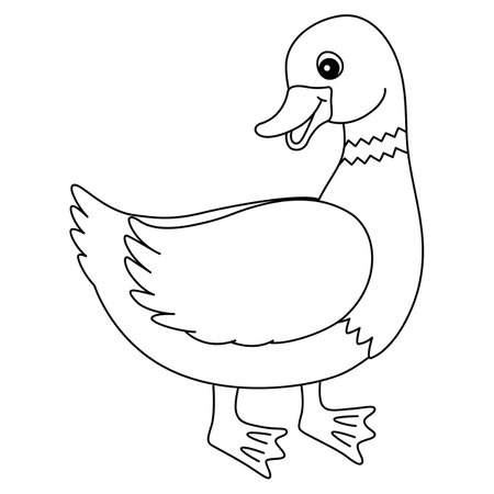 Duck Isolated Coloring Page for Kidsのイラスト素材