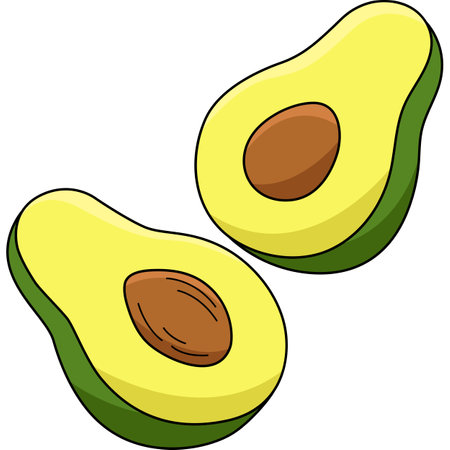 Half Avocado Fruit Cartoon Colored Clipartのイラスト素材
