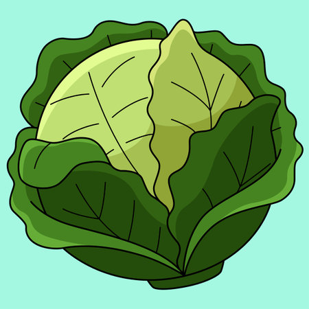 Cabbage Vegetable Colored Cartoon Illustrationのイラスト素材