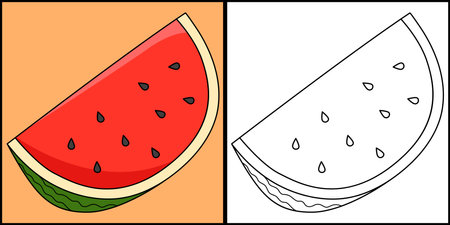 Sliced Watermelon Fruit Coloring Page Illustrationのイラスト素材