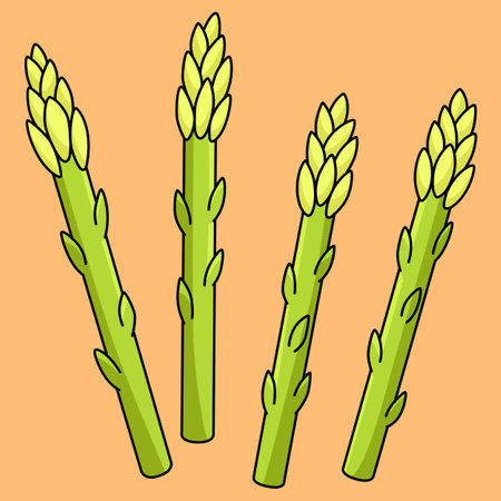 Asparagus Vegetable Colored Cartoon Illustrationのイラスト素材