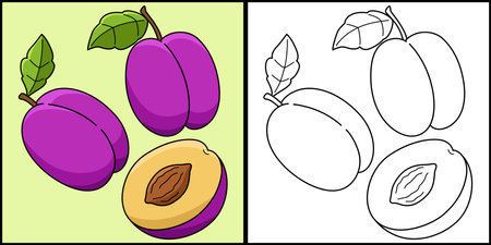 Plum Fruit Vegetable Coloring Page Illustrationのイラスト素材