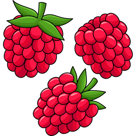 Raspberry Fruit Cartoon Colored Clipartのイラスト素材