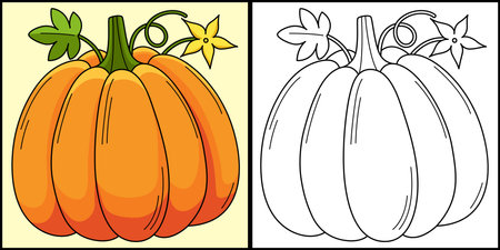 Pumpkin Vegetable Coloring Page Illustrationのイラスト素材