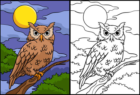 Owl Coloring Page Colored Illustrationのイラスト素材