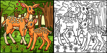 Mother Deer and Baby Deer Coloring Illustrationのイラスト素材