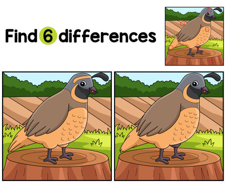 Quail Animal Find The Differencesのイラスト素材