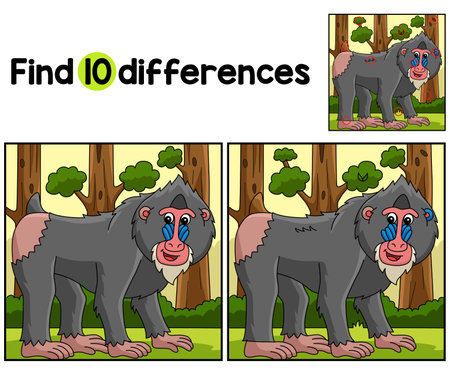 Mandrill Animal Find The Differencesのイラスト素材