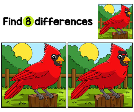 Cardinal Animal Find The Differencesのイラスト素材