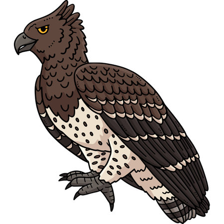 Martial Eagle Bird Cartoon Colored Clipartのイラスト素材