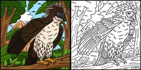 Philippine Eagle Coloring Page Illustrationのイラスト素材
