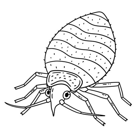 Insect Bed Bug Animal Isolated Coloring Pageのイラスト素材