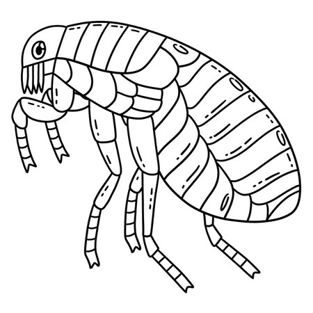 Insect Flea Animal Isolated Coloring Page for Kidsのイラスト素材