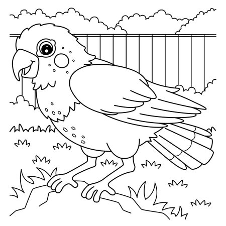 Bird Pionus Parrot Coloring Page for Kidsのイラスト素材